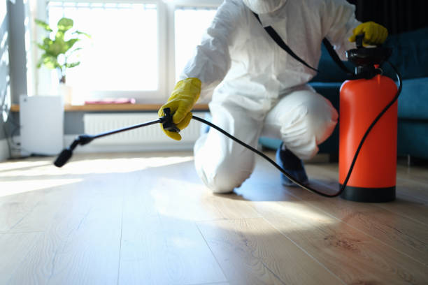 Reliable Blood Cleanup contractor in Larkspur, CA by Trauma Clean Pros